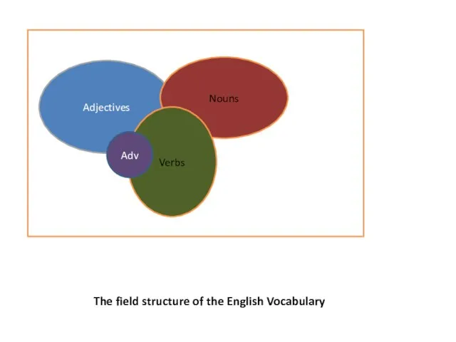 The field structure of the English Vocabulary Adjectives Nouns Verbs Adv