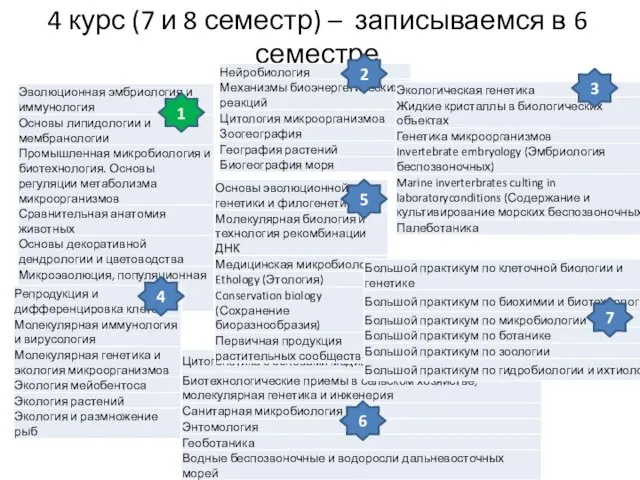 4 курс (7 и 8 семестр) – записываемся в 6 семестре