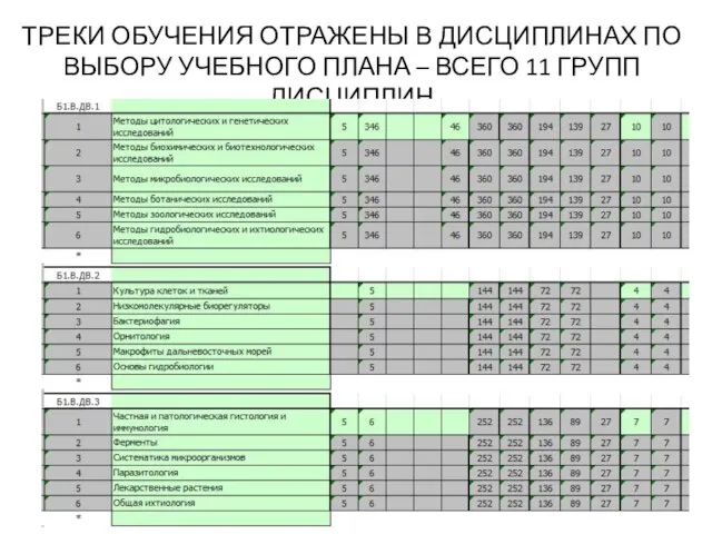 ТРЕКИ ОБУЧЕНИЯ ОТРАЖЕНЫ В ДИСЦИПЛИНАХ ПО ВЫБОРУ УЧЕБНОГО ПЛАНА – ВСЕГО 11 ГРУПП ДИСЦИПЛИН