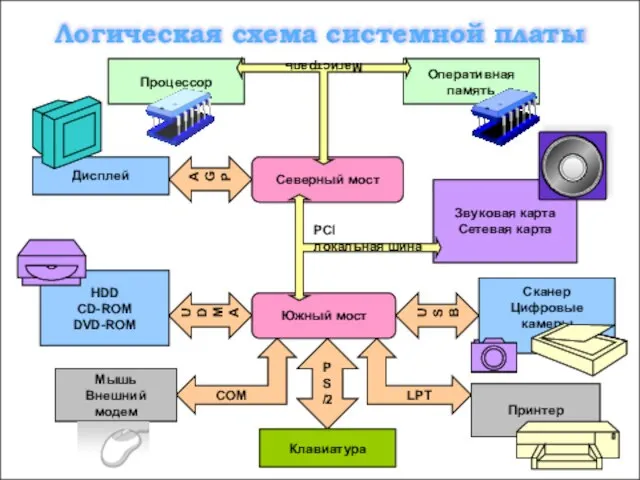 Логическая схема системной платы Процессор PS/2 Клавиатура AGP Звуковая карта Сетевая