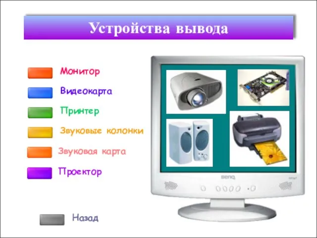 Монитор Принтер Назад Устройства вывода Звуковая карта Видеокарта Звуковые колонки Проектор