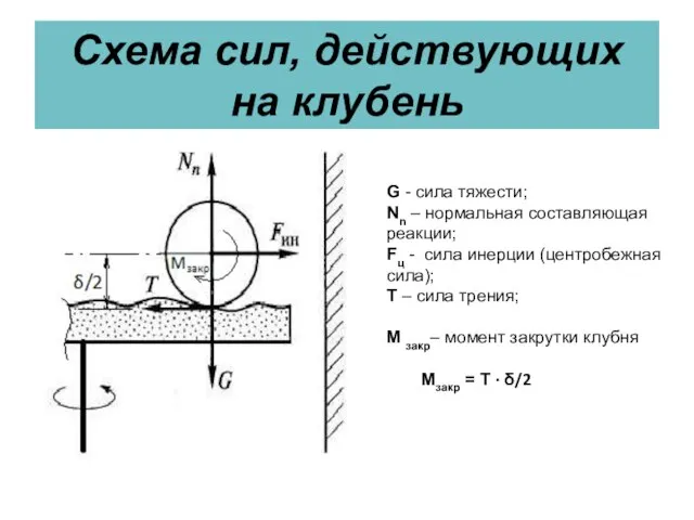 Схема сил, действующих на клубень G - сила тяжести; Nn –