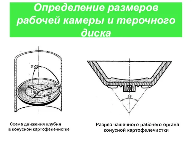 Определение размеров рабочей камеры и терочного диска Схема движения клубня в