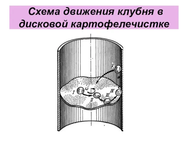 Схема движения клубня в дисковой картофелечистке