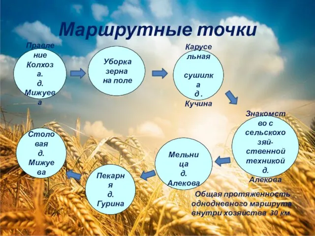 Маршрутные точки Правление Колхоза. д.Мижуева Уборка зерна на поле Карусельная сушилка