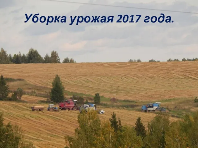 Уборка урожая 2017 года.