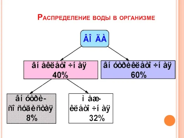 Распределение воды в организме