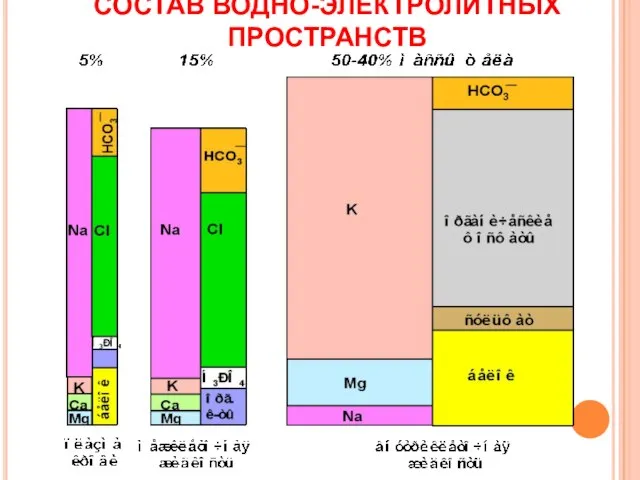 СОСТАВ ВОДНО-ЭЛЕКТРОЛИТНЫХ ПРОСТРАНСТВ