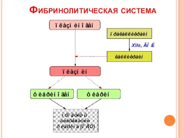 Фибринолитическая система