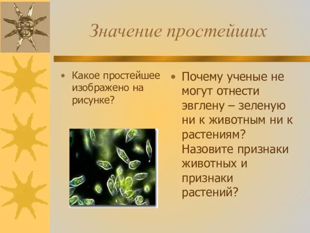 Значение простейших Какое простейшее изображено на рисунке? Почему ученые не могут