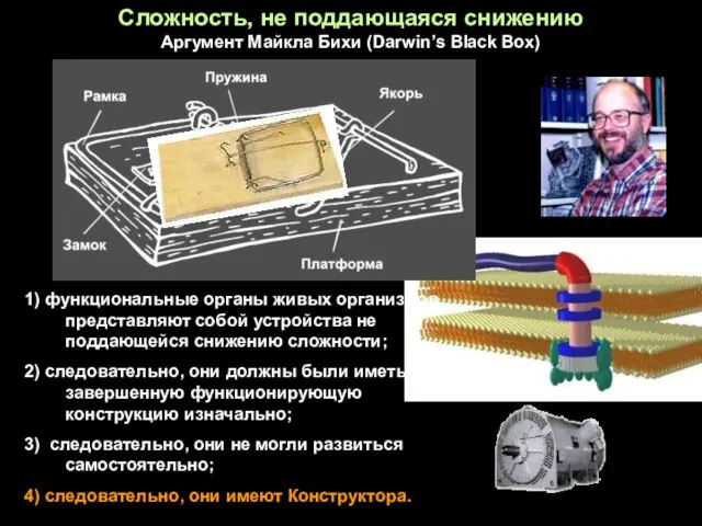 1) функциональные органы живых организмов представляют собой устройства не поддающейся снижению