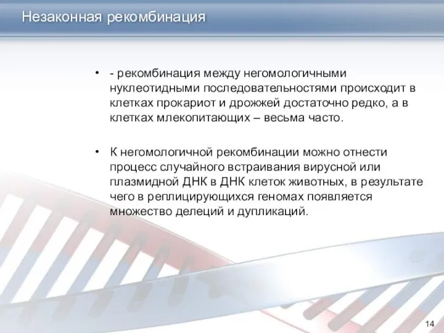 - рекомбинация между негомологичными нуклеотидными последовательностями происходит в клетках прокариот и