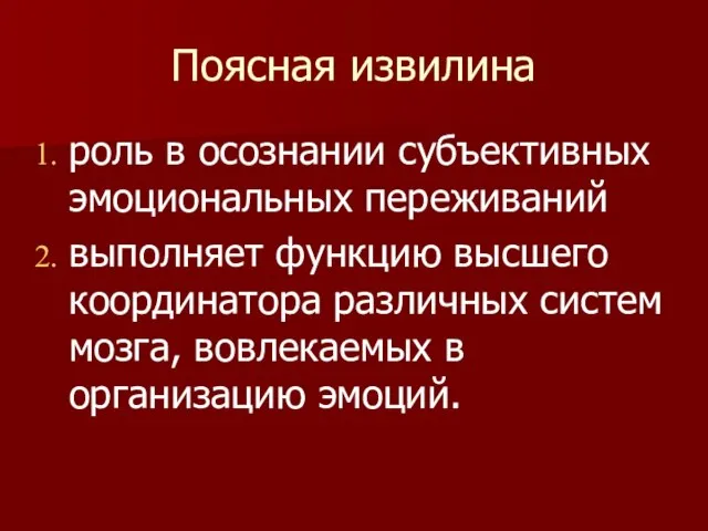 Поясная извилина роль в осознании субъективных эмоциональных переживаний выполняет функцию высшего