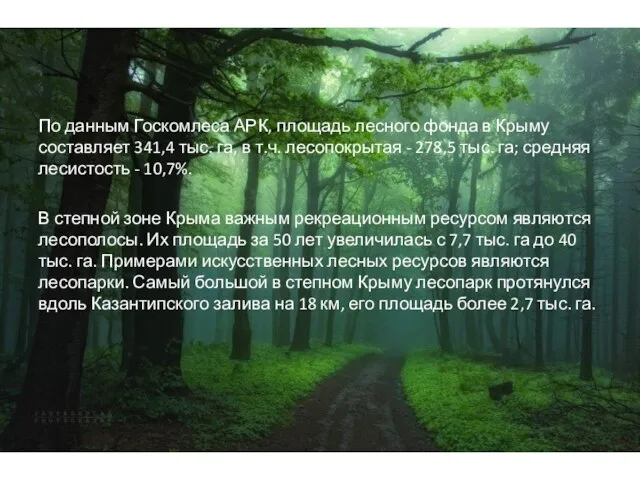 По данным Госкомлеса АРК, площадь лесного фонда в Крыму составляет 341,4
