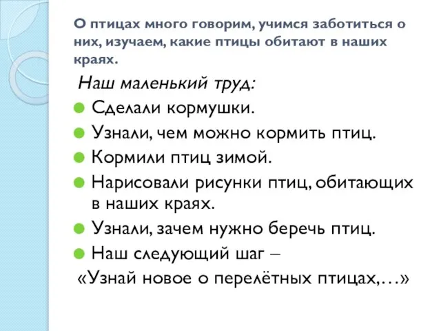 О птицах много говорим, учимся заботиться о них, изучаем, какие птицы