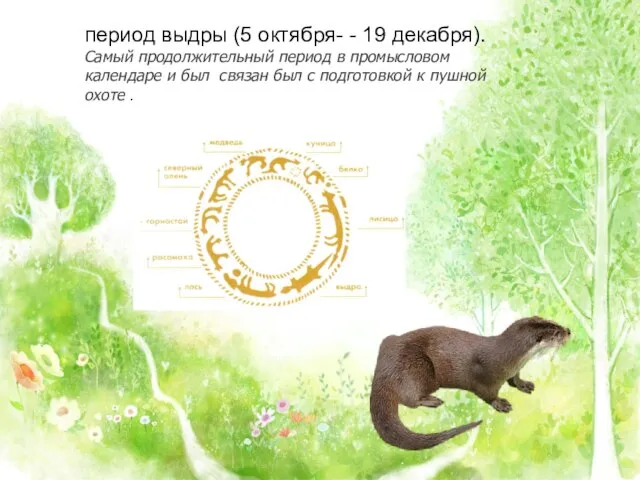 период выдры (5 октября- - 19 декабря). Самый продолжительный период в