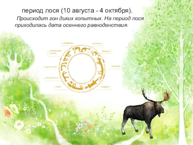 период лося (10 августа - 4 октября). Происходит гон диких копытных.