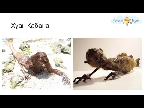 Хуан Кабана