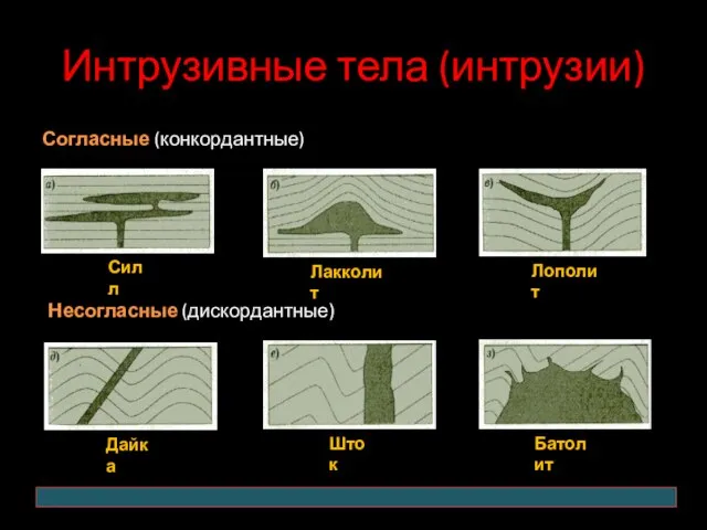 Интрузивные тела (интрузии) Согласные (конкордантные) Силл Лакколит Лополит Несогласные (дискордантные) Дайка Шток Батолит