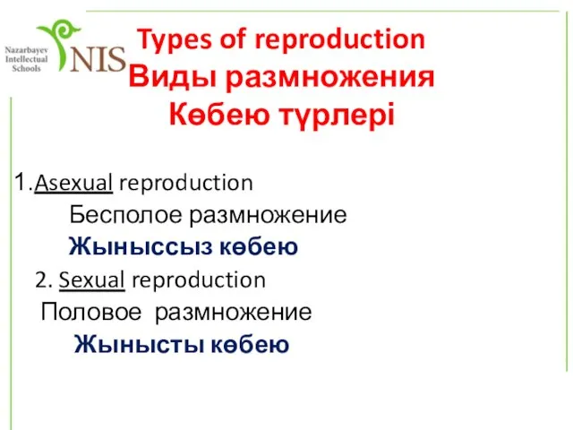 Types of reproduction Виды размножения Көбею түрлері Asexual reproduction Бесполое размножение