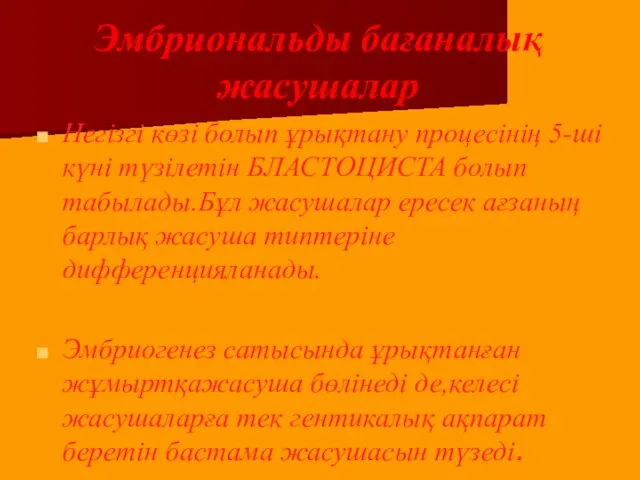 Эмбриональды бағаналық жасушалар Негізгі көзі болып ұрықтану процесінің 5-ші күні түзілетін