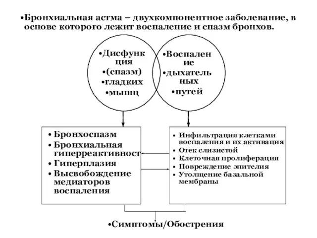 Инфильтрация клетками воспаления и их активация Отек слизистой Клеточная пролиферация Повреждение