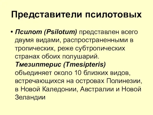 Представители псилотовых Псилот (Psilotum) представлен всего двумя видами, распространенными в тропических,