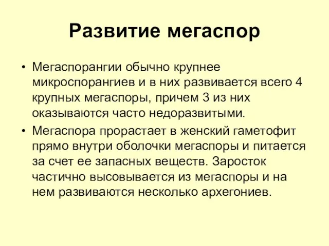 Развитие мегаспор Мегаспорангии обычно крупнее микроспорангиев и в них развивается всего