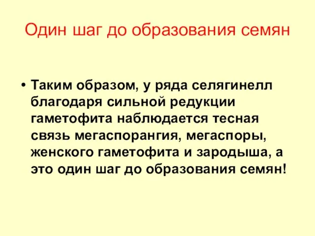 Один шаг до образования семян Таким образом, у ряда селягинелл благодаря