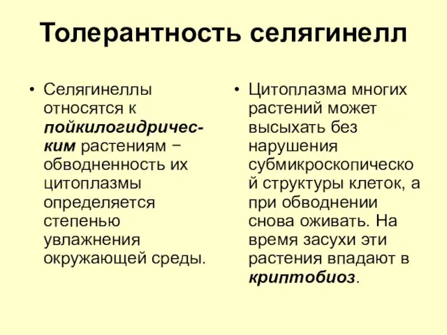 Толерантность селягинелл Селягинеллы относятся к пойкилогидричес-ким растениям − обводненность их цитоплазмы