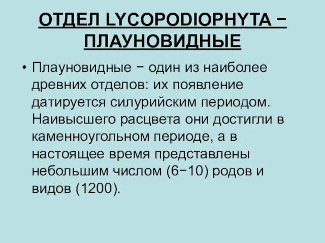 ОТДЕЛ LYCOPODIOPHYTA − ПЛАУНОВИДНЫЕ Плауновидные − один из наиболее древних отделов: