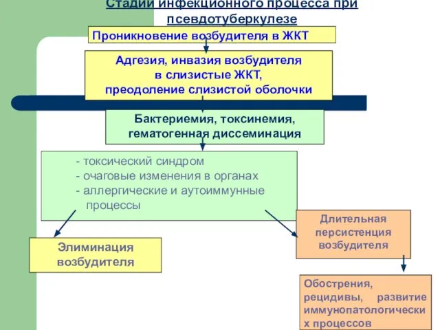 Проникновение возбудителя в ЖКТ Адгезия, инвазия возбудителя в слизистые ЖКТ, преодоление