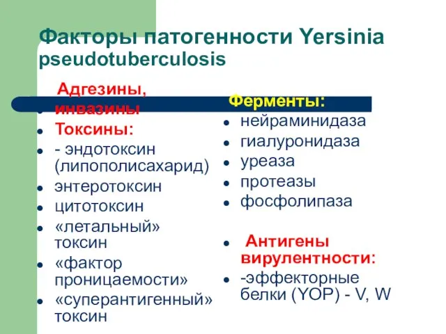 Факторы патогенности Yersinia pseudotuberculosis Адгезины, инвазины Токсины: - эндотоксин (липополисахарид) энтеротоксин