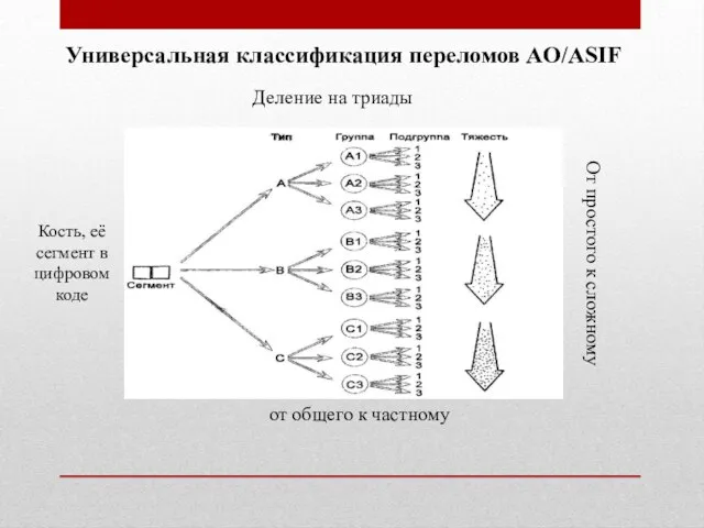 Универсальная классификация переломов AO/ASIF Деление на триады От простого к сложному