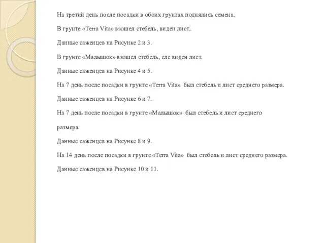 На третий день после посадки в обоих грунтах поднялись семена. В