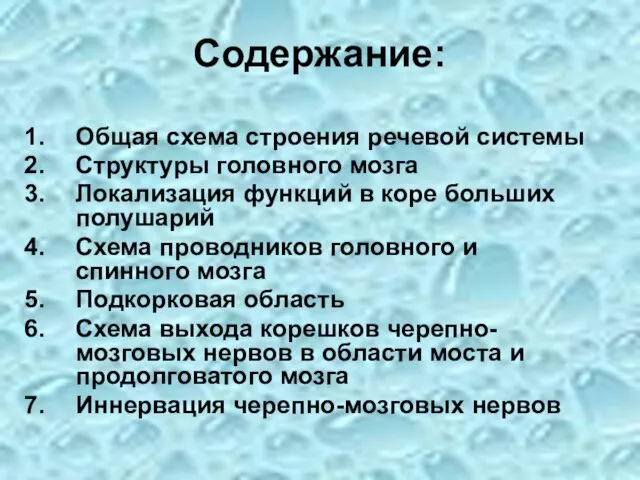 Общая схема строения речевой системы Структуры головного мозга Локализация функций в