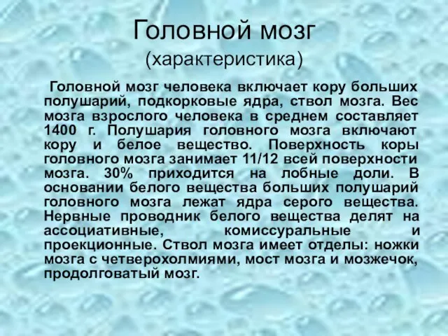 Головной мозг (характеристика) Головной мозг человека включает кору больших полушарий, подкорковые