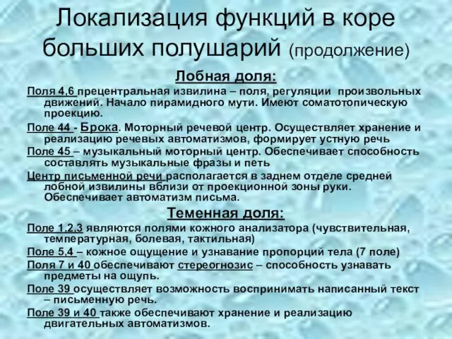 Локализация функций в коре больших полушарий (продолжение) Лобная доля: Поля 4,6