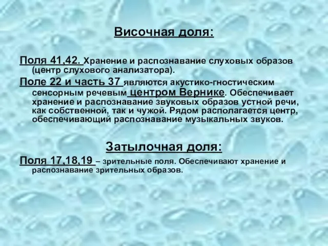 Височная доля: Поля 41,42. Хранение и распознавание слуховых образов (центр слухового