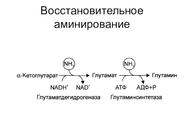 Восстановительное аминирование