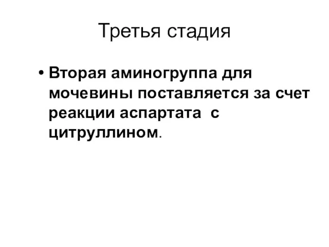 Третья стадия Вторая аминогруппа для мочевины поставляется за счет реакции аспартата с цитруллином.