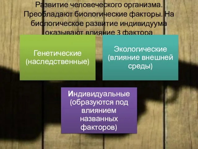 Развитие человеческого организма. Преобладают биологические факторы. На биологическое развитие индивидуума оказывают влияние 3 фактора