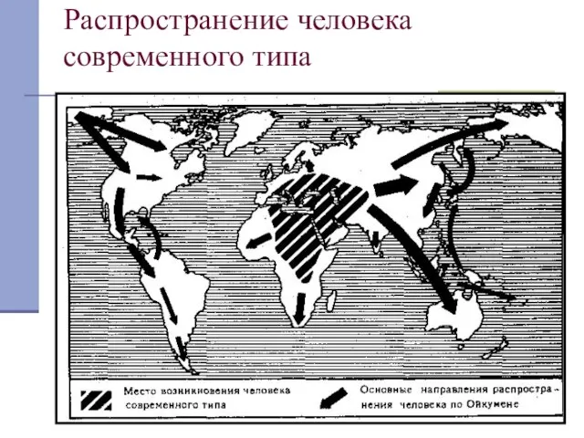 Распространение человека современного типа