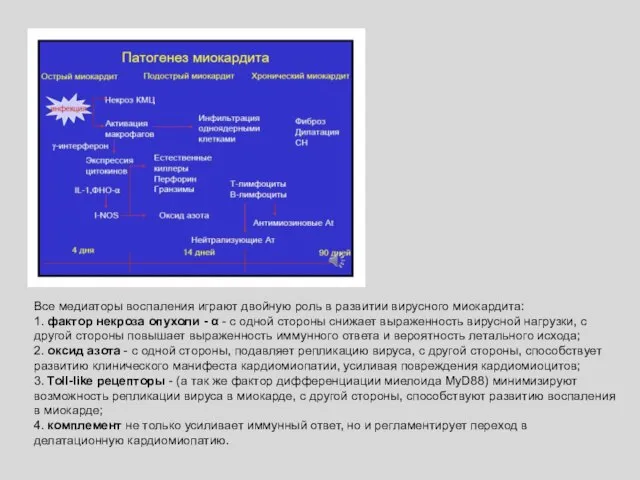 Все медиаторы воспаления играют двойную роль в развитии вирусного миокардита: 1.