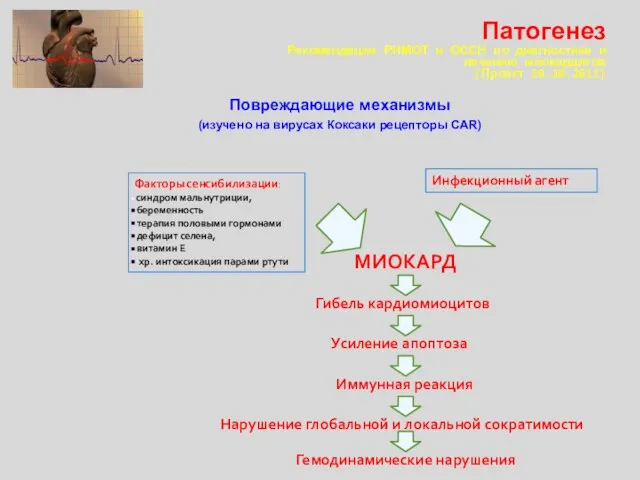 Повреждающие механизмы (изучено на вирусах Коксаки рецепторы САR) Факторы сенсибилизации: синдром