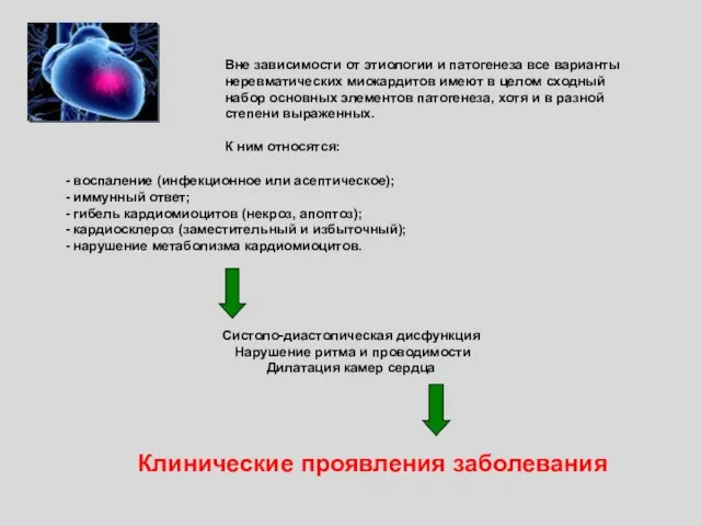 - воспаление (инфекционное или асептическое); - иммунный ответ; - гибель кардиомиоцитов