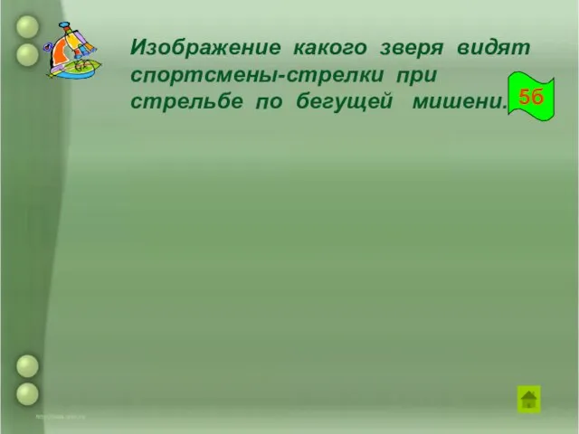 Изображение какого зверя видят спортсмены-стрелки при стрельбе по бегущей мишени. 5б