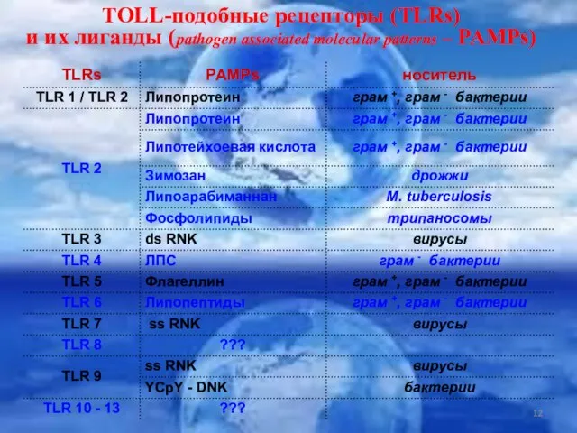 ТОLL-подобные рецепторы (TLRs) и их лиганды (pathogen associated molecular patterns – PAMPs)