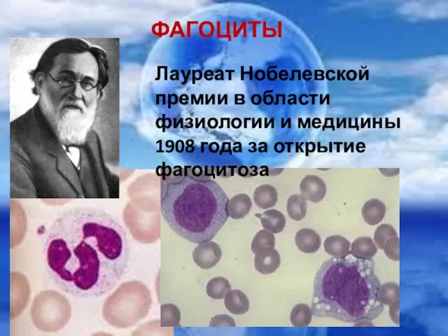 ФАГОЦИТЫ Лауреат Нобелевской премии в области физиологии и медицины 1908 года за открытие фагоцитоза