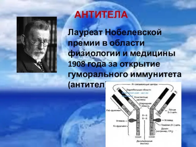 АНТИТЕЛА Лауреат Нобелевской премии в области физиологии и медицины 1908 года за открытие гуморального иммунитета (антител)